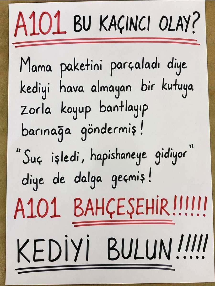 Özlem 🐾 tweet media