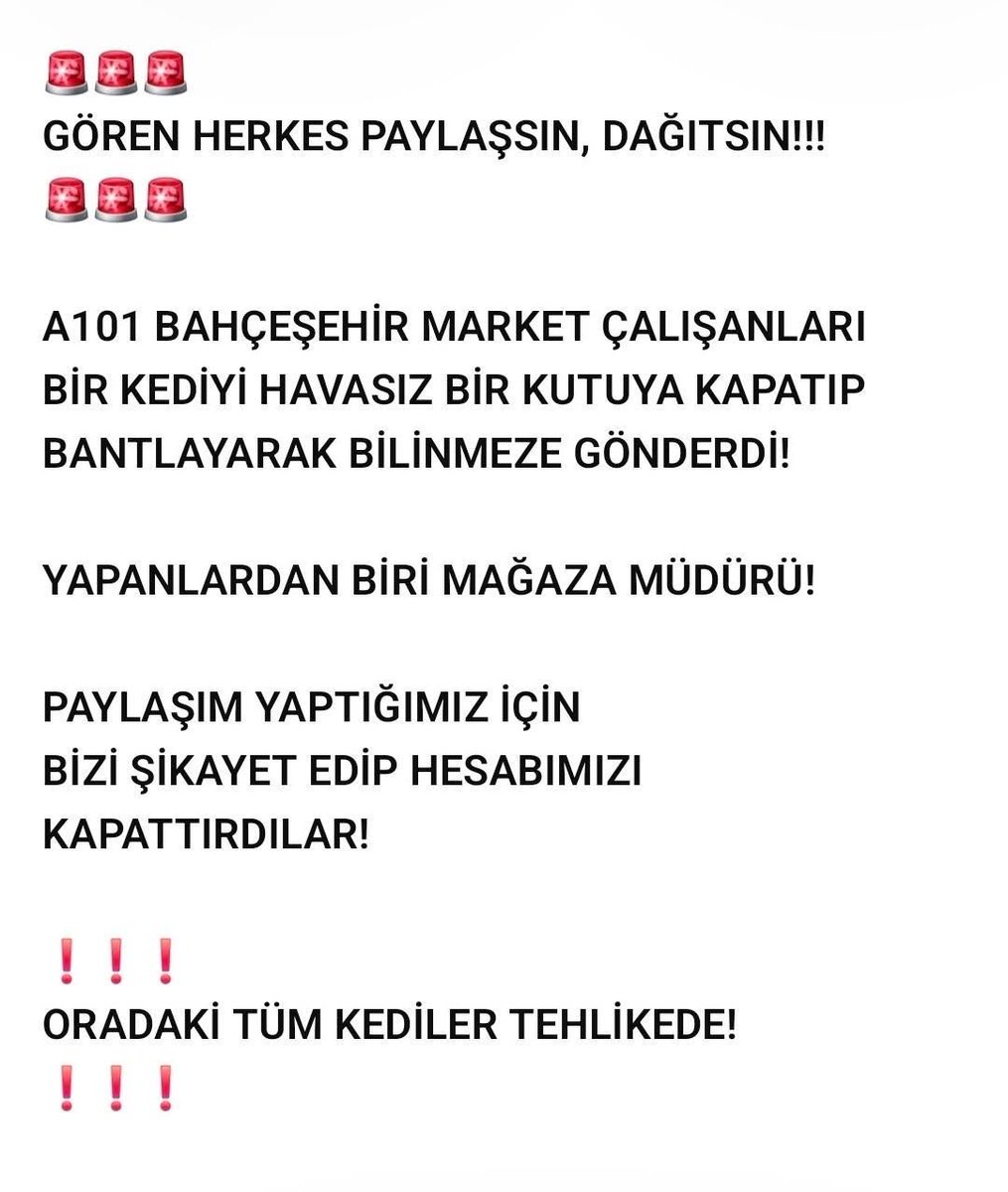 Özlem 🐾 tweet media