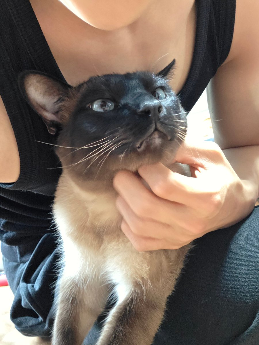 anna 🍓 tweet media