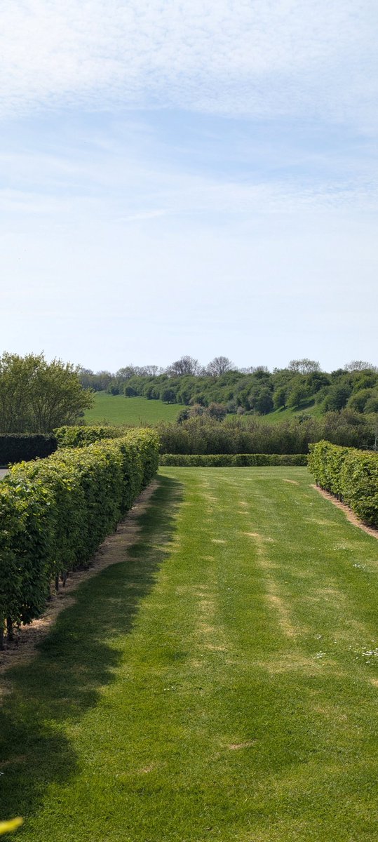 mark teasel💙💙💙 tweet media