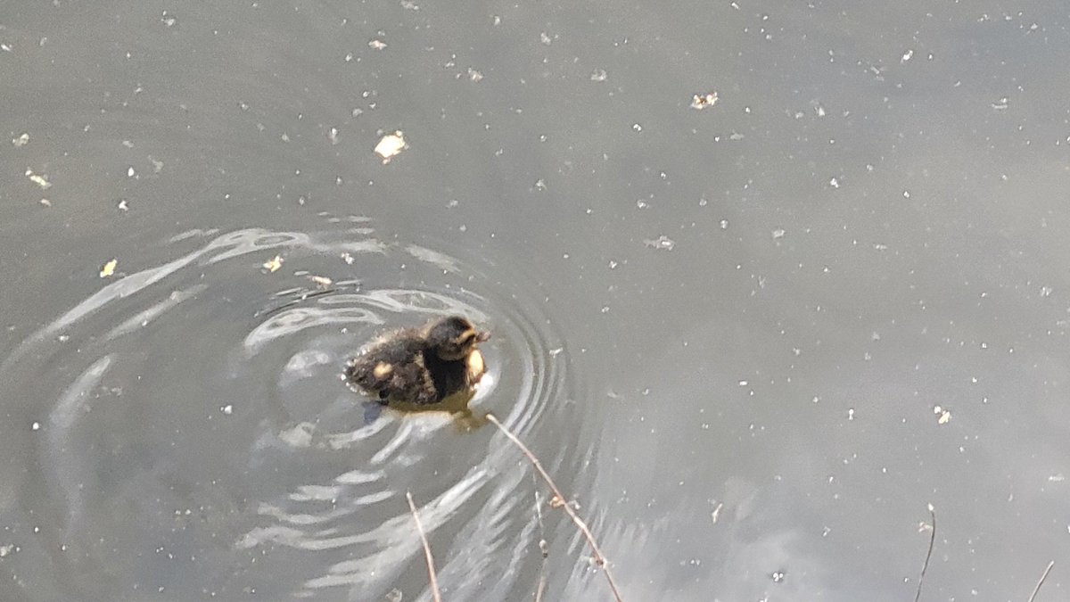 体育上級生たちで遊んできた🕺🎶
お天気も良くてパヤパヤのいのちも見守れて有意義だった☺️❤今日も楽しかった〜！