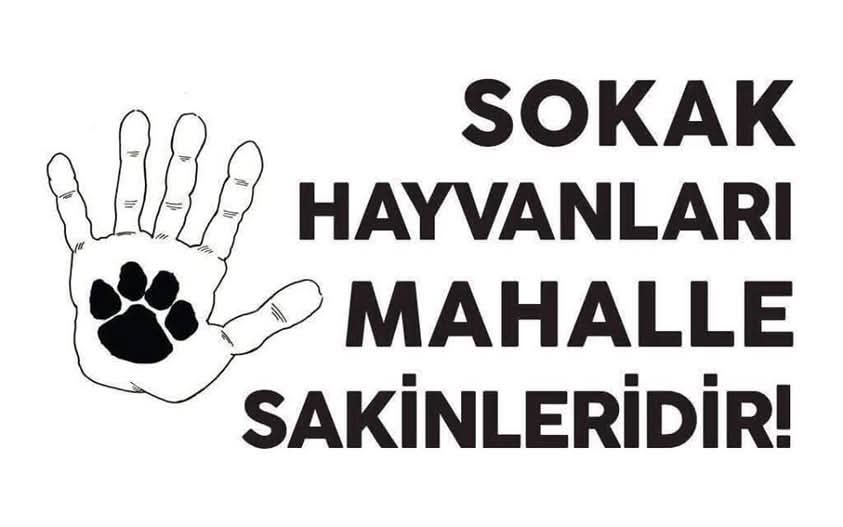 Levent Erdemin tweet media