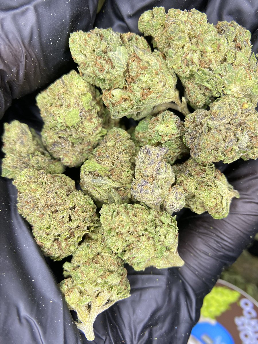 Bloccboii420's tweet photo. Evap mid grade เทียบแอร์ คละได้หอมๆทุกสายพันธุ์ครับ
🍊Orange Puch
🍎Apple Fritter
🍇End Game
🍋Lemonberry

ขีด 1,150.- คุ้มๆ❗️
50G/600.-
25G/350.-
5G/100.-

📌พร้อมส่งค.6แถวม.ราชมงคลฟรี🛵
#กัญชาราคาส่ง #ขายกัญชา #กัญชากรุงเทพ #evap #โอจีส่งแกรป #weed #BKK #รังสิตกัญชา #คลอง6 https://t.co/HnvIBTDkDC