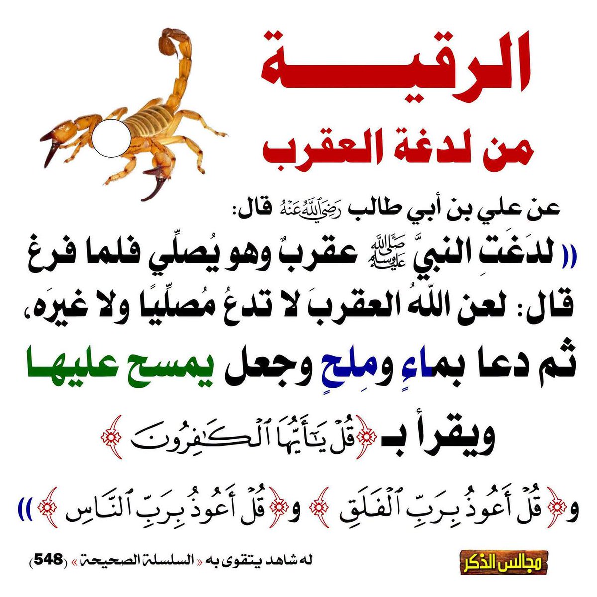 نشر أحاديث وفوائد (@nashrahdeeth) on Twitter photo 