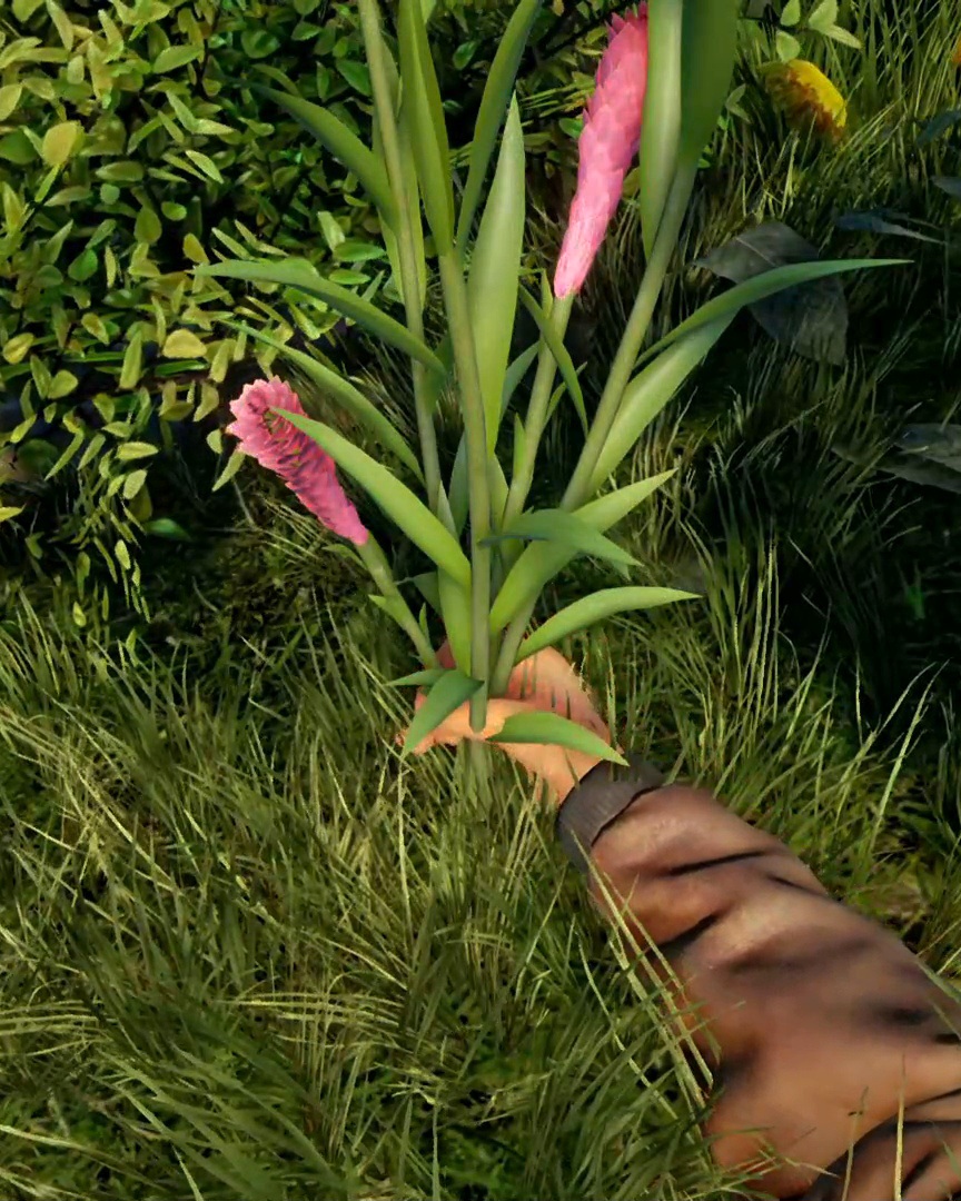 Shenmue_Dojo's tweet image. It's a beautiful day here, so go outside and touch some grass! 🌱👈 Or don't; it's your Sunday, so it's entirely up to you how you spend it! Share what you're up to today with us, #Shenmue fans! 

#SundaySHENanigans #SEGA
#LetsGetShenmue4