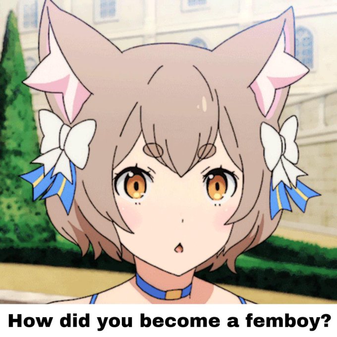 FemboyFitness tweet media