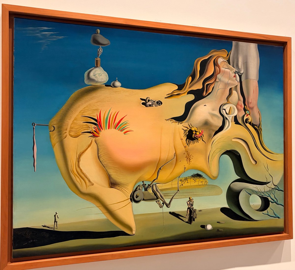 Sarah ✨ tweet media