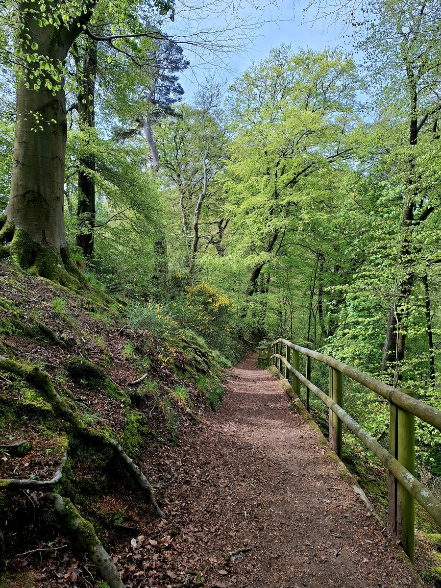 LisaMWilde's tweet image. Another beautiful morning walk. #ChurchStretton #Shropshire #DailyWalk #DailySteps #loveukweather