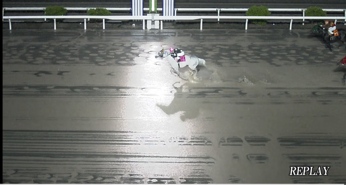 秋風旬太郎 tweet media