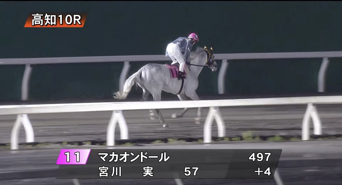 秋風旬太郎 tweet media