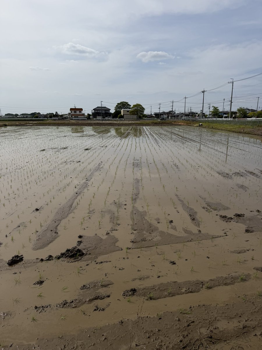 ゆうすけ tweet media