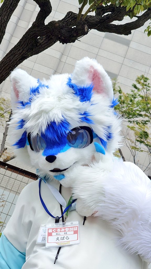 帷〜Tobary〜 tweet media