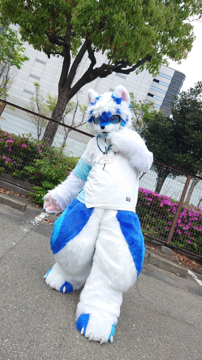 帷〜Tobary〜 tweet media