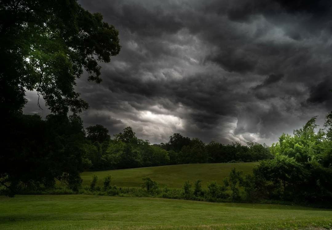 𝑙𝑦𝑟𝑎 tweet media