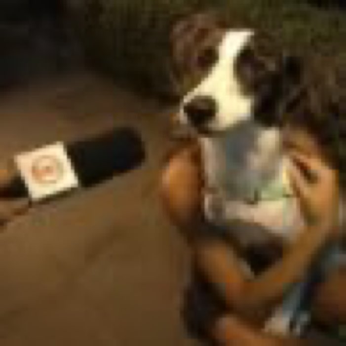 dj benuxo tweet media