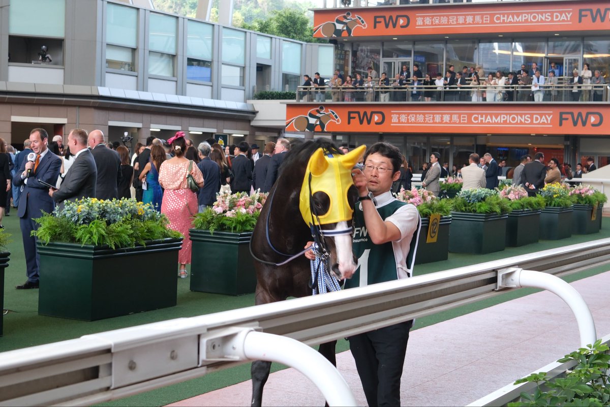 ahahahei1017's tweet photo. #ロマンチックウォリアー
#RomanticWarrior
#マスカレードボール
#MasqueradeBall https://t.co/V4TEf3Gn7y