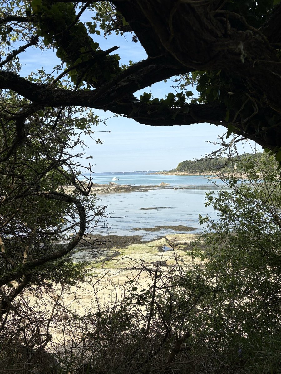 Dany7517's tweet photo. Encore une belle balade sur les sentiers 
#Pouldohan 
#SudFinistère https://t.co/wnBmYxJJpt
