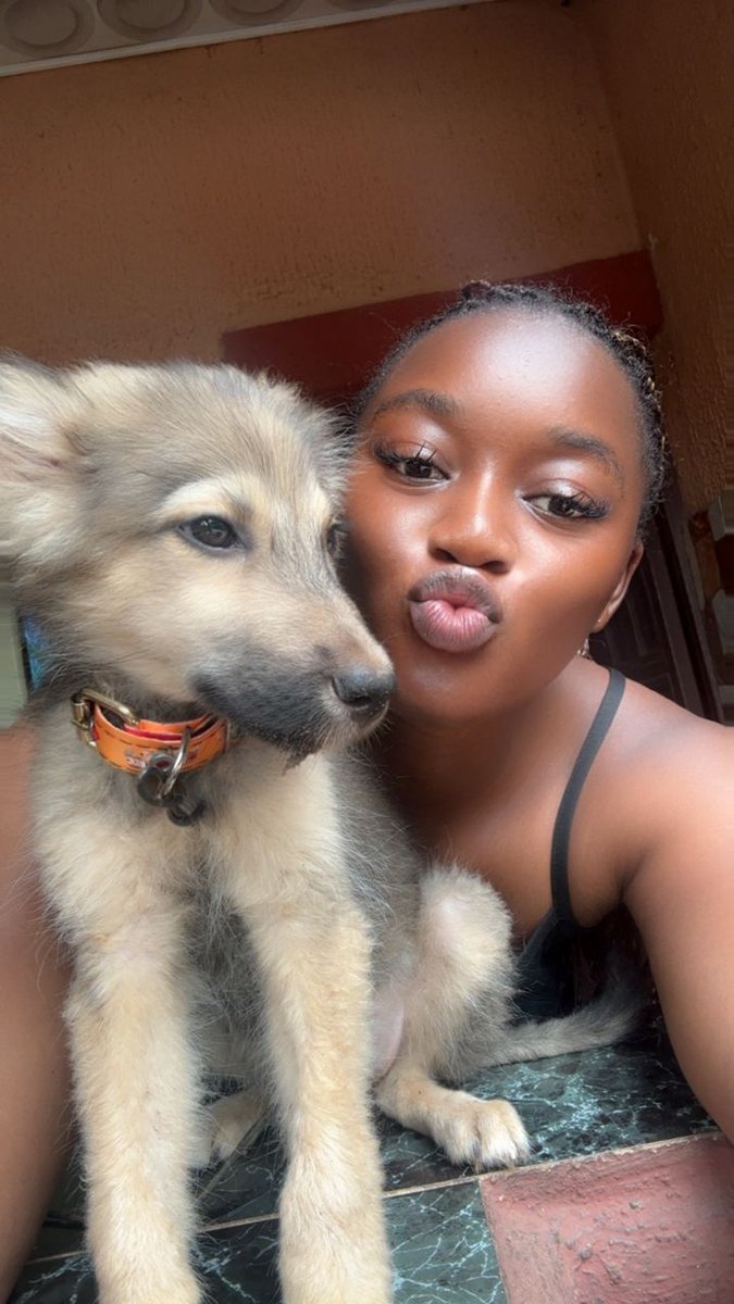 didi 🎀 tweet media