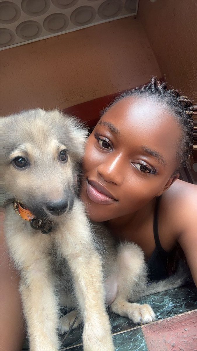 didi 🎀 tweet media