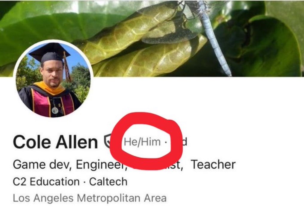 Steve Klein Interests tweet media