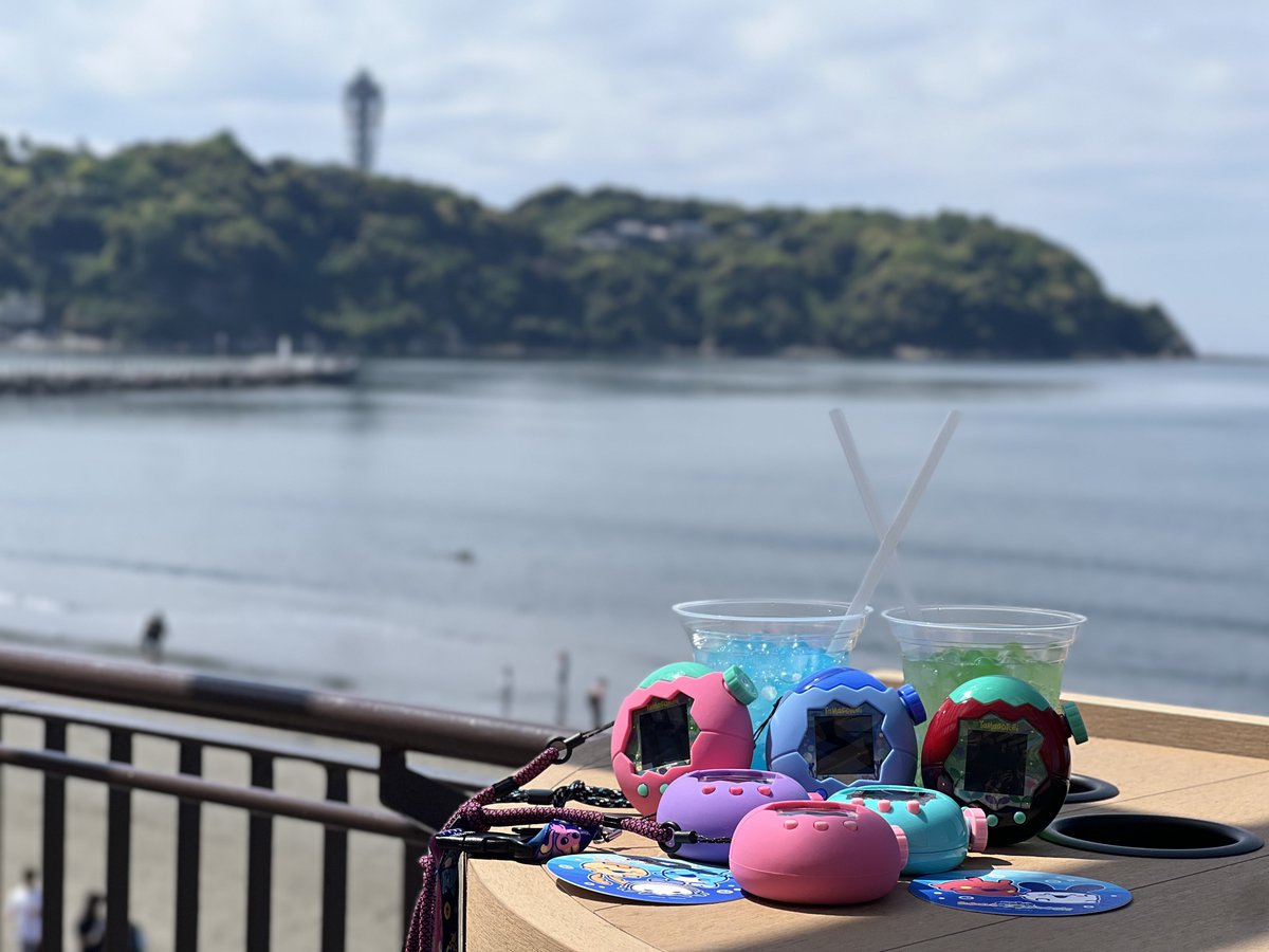 秋花 tweet media