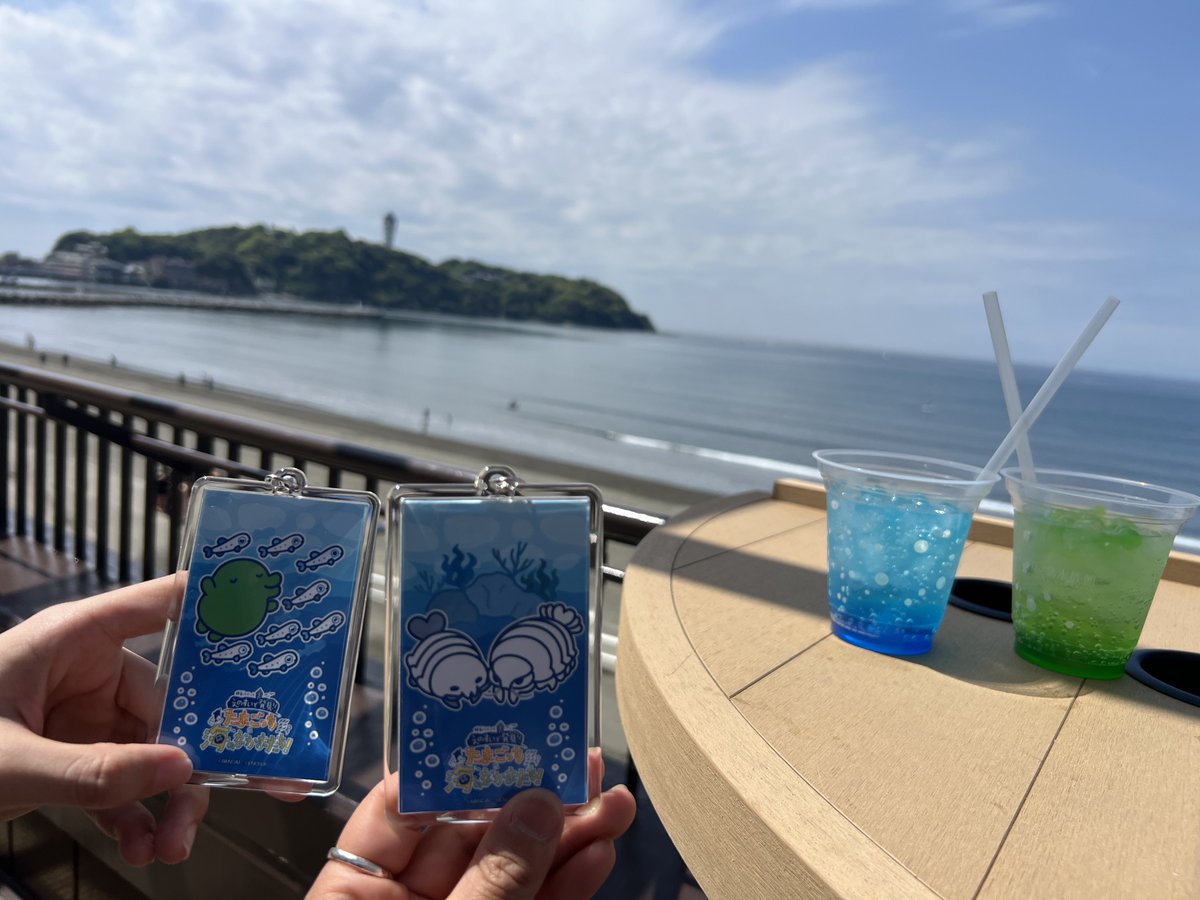 秋花 tweet media