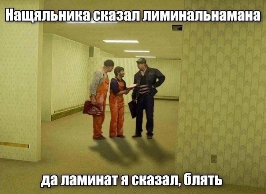 ивус tweet media