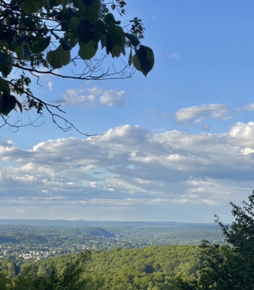 snflower500's tweet photo. Life is a lot like hiking: you can't skip the climb if you want to earn the view. https://t.co/iMpOv2BwDH
