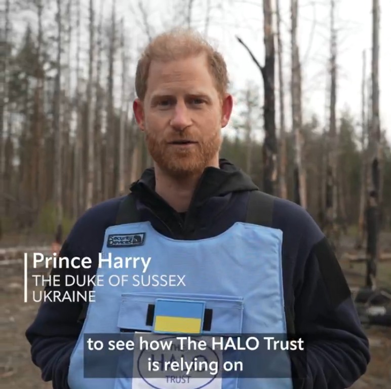 Kaiser@Celebitchy tweet media