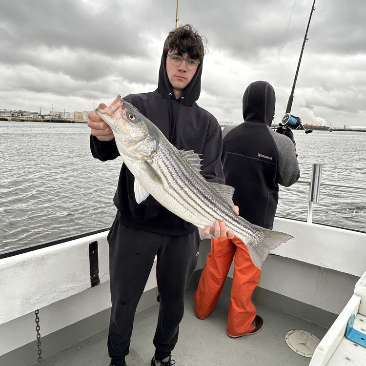 Lakeland Regional tweet media