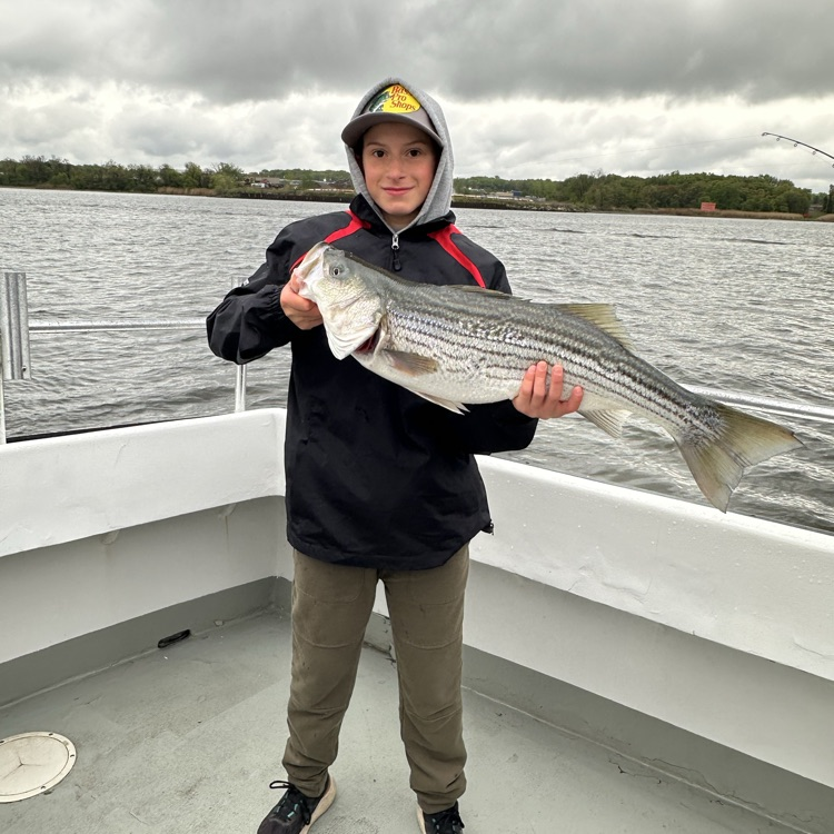 Lakeland Regional tweet media