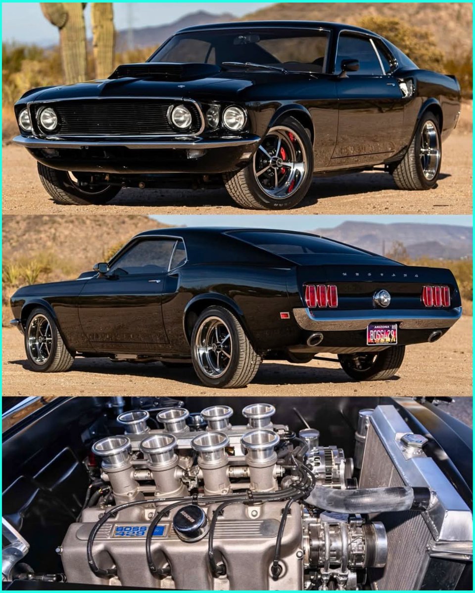 Ford Built the Boss 429 for NASCAR. This 1969 Mustang Fastback Got a 600 HP Custom Version.