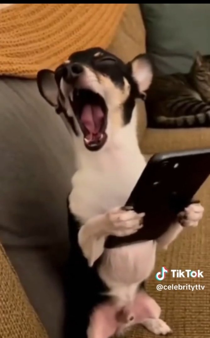 Moyin 🌹 tweet media