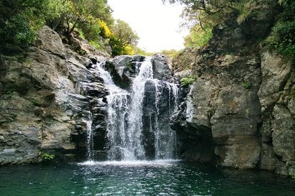 fuscomarina's tweet image. LauriSilva è una foresta di #Madeira che sembra uscita da un libro di fiabe 
Sissi ci andò a 23 anni per
curare una tosse e poi per il 56⁰ compleanno il 24 dicembre.
Passeggiava  lontana dalla corte di Vienna e si sentiva libera.
Tu che scusa useresti per andarci? 
✈️#Tturismo
