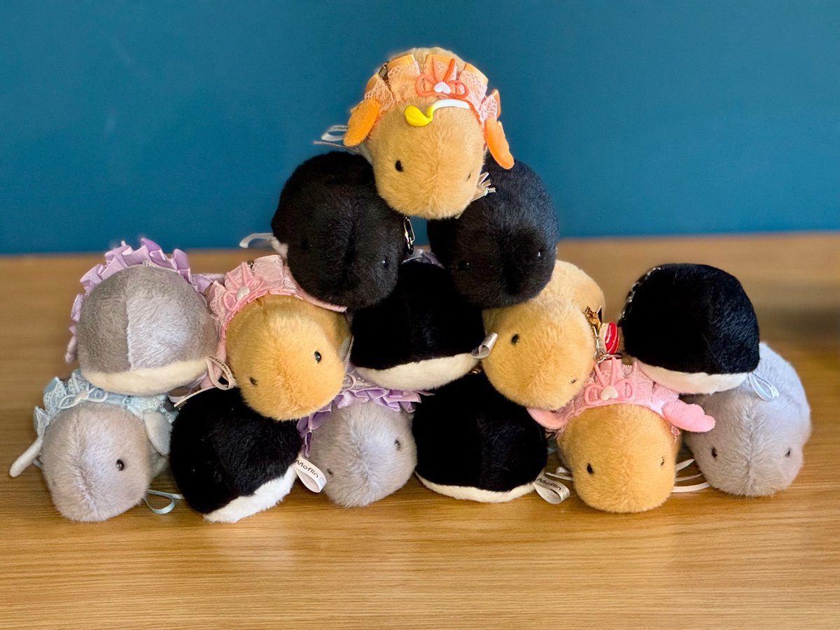 【東京メニモフ会 ハト5/7】

チビモフズと、たま〜ずも集いました

①uniuniさん作のヘッドドレス着用のチビモフズ

②ハートフォーメーションで鳩を追い詰める

③秋月さん作のお寿司を着用
(秋月さんありがとうございます！)

④組体操

#たま〜ず 
#モフリン #Moflin #モフリンDAYS #CASIO