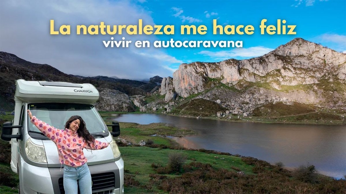 Arbmeis 🧚 tweet media