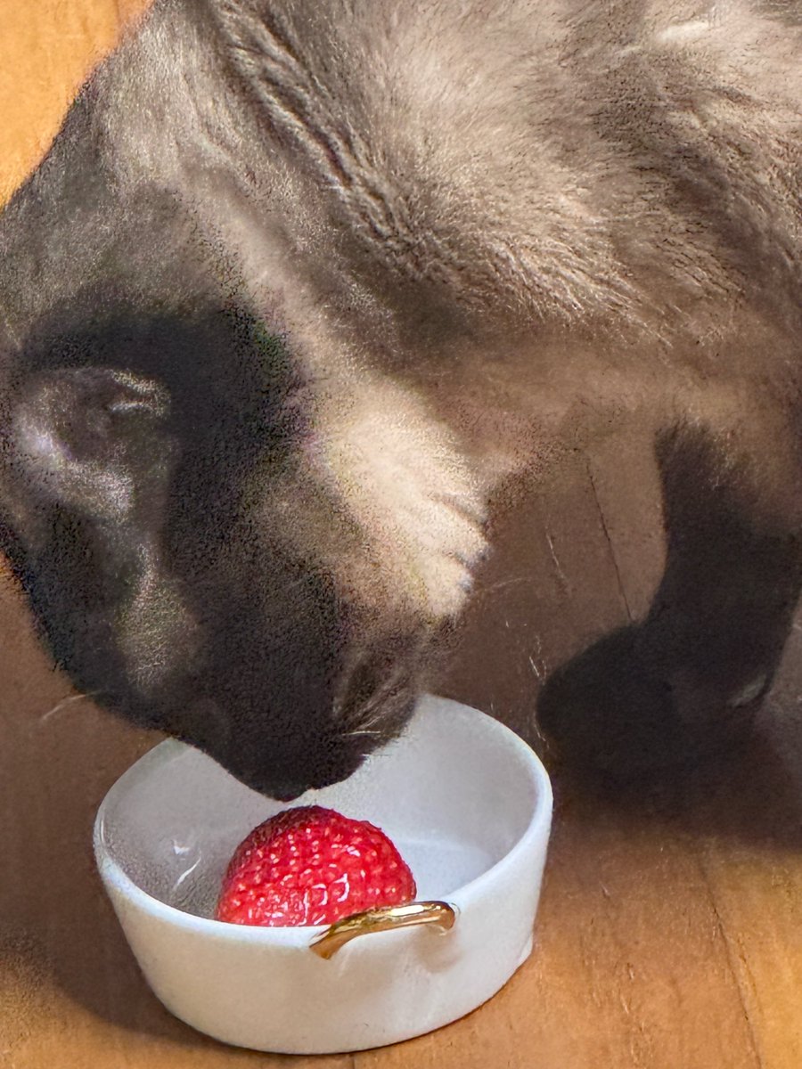 🎀산𓂂˚˖·🍓🍰 tweet media