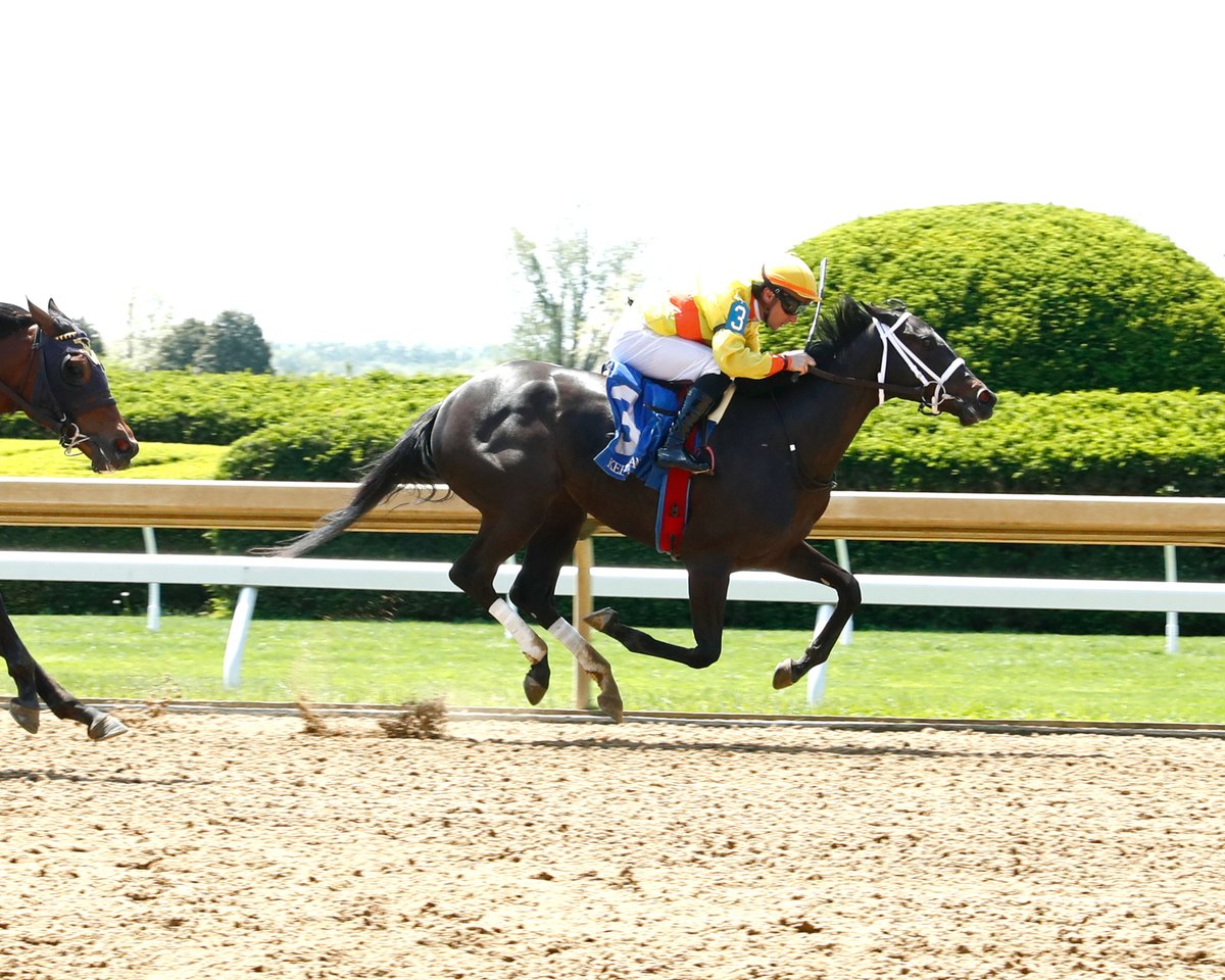 zonahipica's tweet photo. Sharpie Girl (Sharp Azteca – First Embrace por First Defence), la peleó en la delantera y abajo fue más, para ganar, en la carrera #2 (Maiden Special Weight) de @keeneland #22Abr, e hizo tiempo de: 0´53”45 (900). Montó, Adam Beschizza y entrenó, Kelsey Danner
📸: @coadymediaUSA https://t.co/84eNuBa0Gx