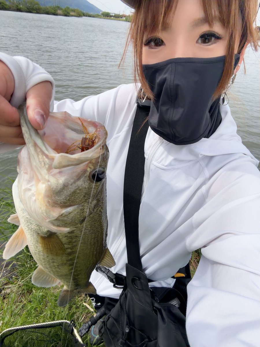あーちゃん (@ayachibita) / Posts / X