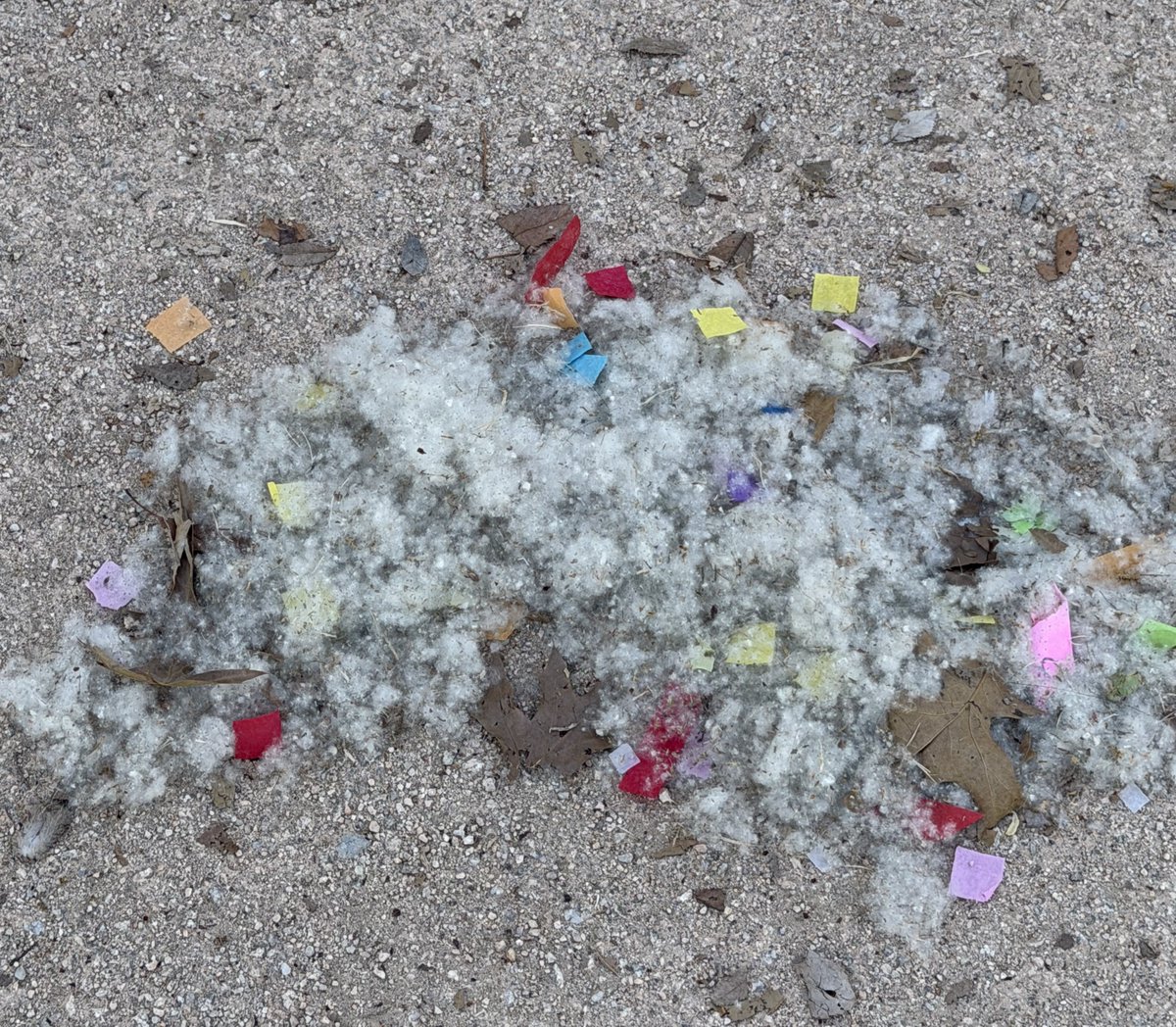 아꼬 🍒 tweet media