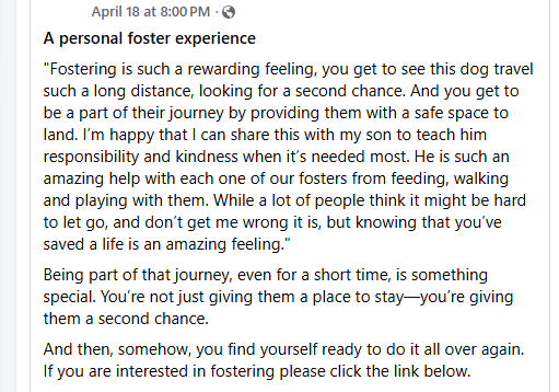 FHDRofSETX's tweet image. Hello rescue community. 👋Have you ever thought of fostering. Most people dont realize that fostering is the lifeline for rescue orgs. Its crucial for the survival of rescues. Did you know all expenses are paid by the rescue? I can tell you from first hand experience its