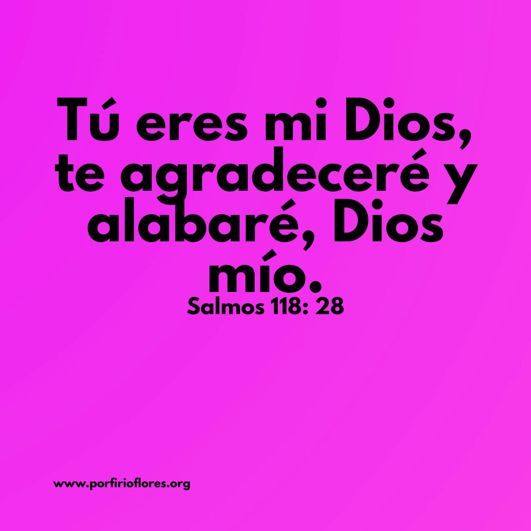 Porfirio Flores tweet media