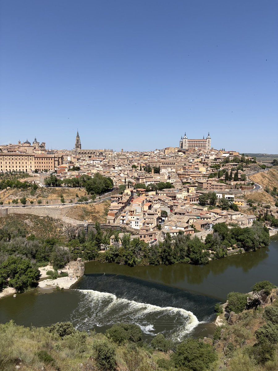 Trovador_casual tweet media