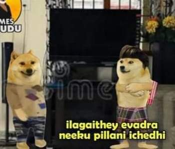 Jensen Arc🦅ᴹᴮ tweet media