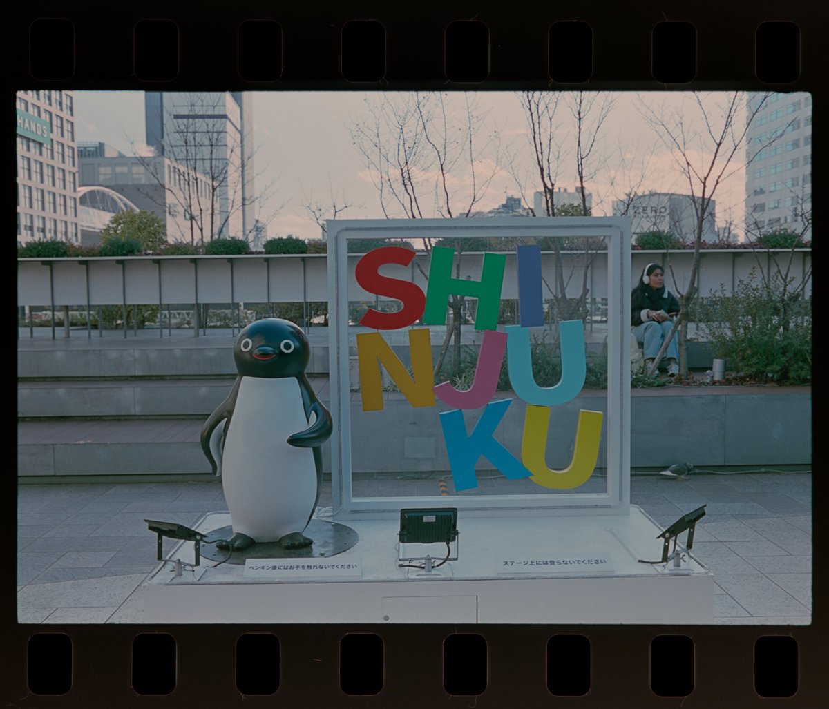 あらいふ(伊柎あらた) tweet media