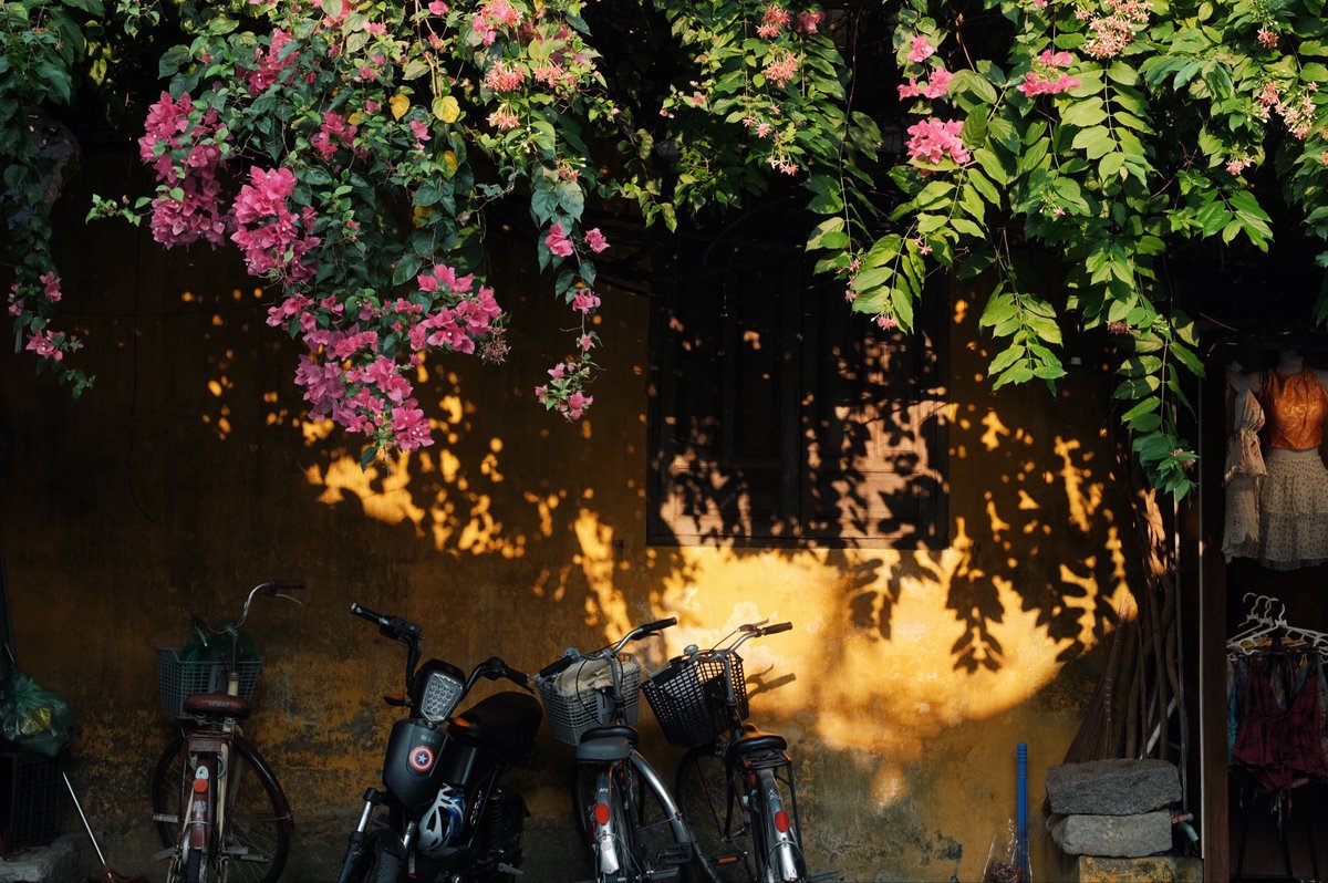 lg ntn dexter 🔪🩸 tweet media