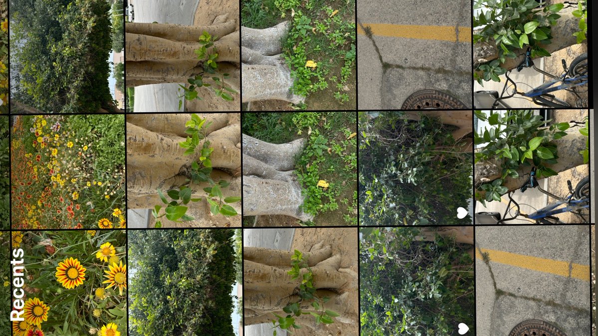 mojave 3 tweet media