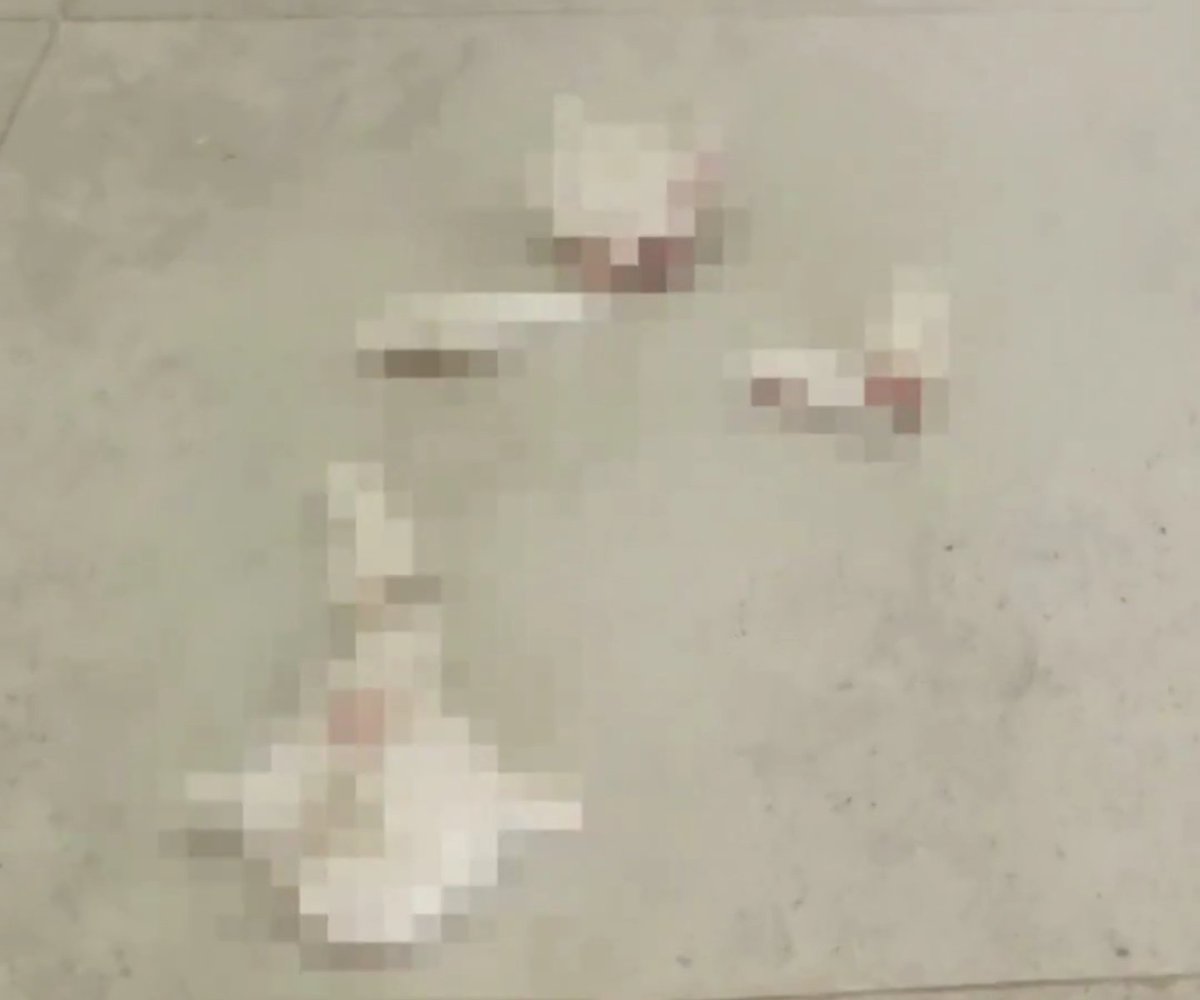 DarkWeb Haber tweet media