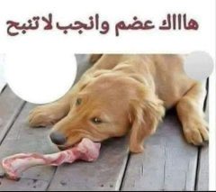 محسن الرويلي tweet media