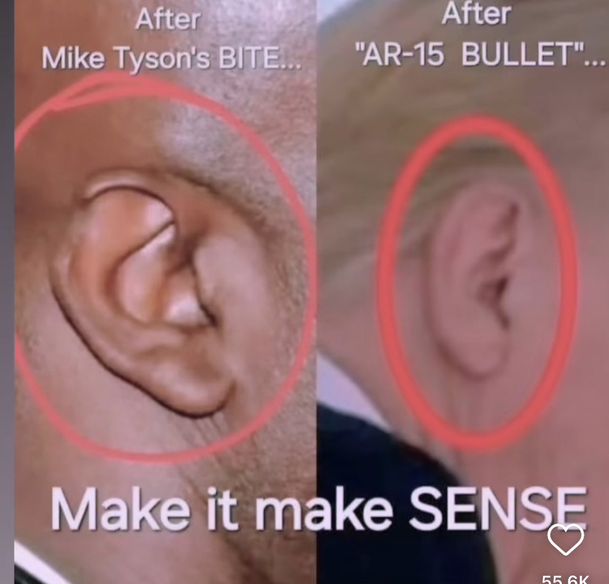 eww_david tweet media